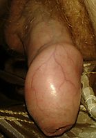 Morning Glory Erection Before I Wanked