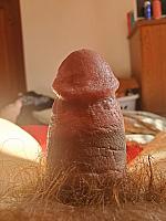 thick white cock closeup